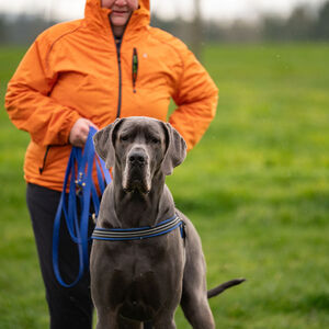 Fundraising Page: Dena Cassell